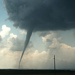 A photograph of a tornado and wall cloud in a field with telephone poles.