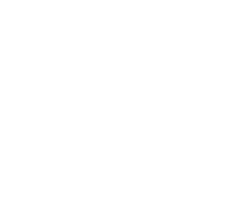 The Twitter Logo, White