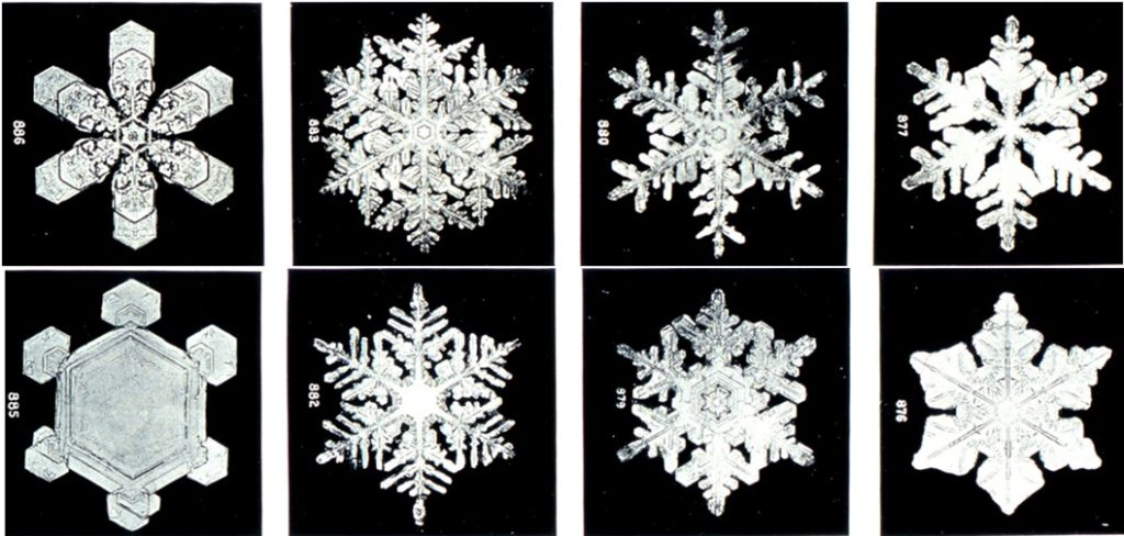 A photograph of eight types of snowflakes.