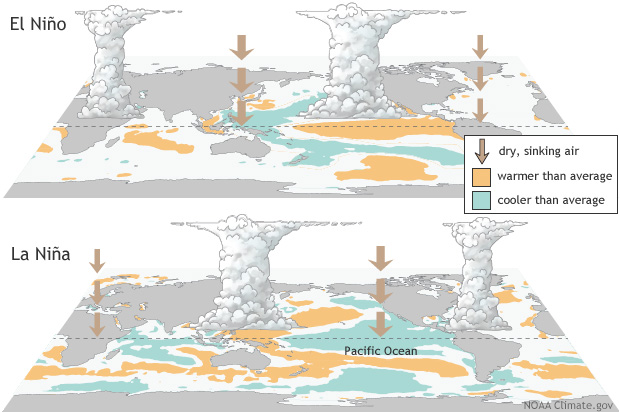 A diagram of El Nino and La Nina weather patterns over the Pacific Equatorial Region.