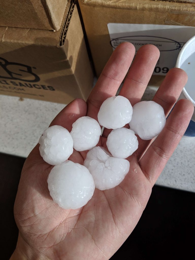 A photograph of ping-pong-ball-sized hail stones in someones hand.