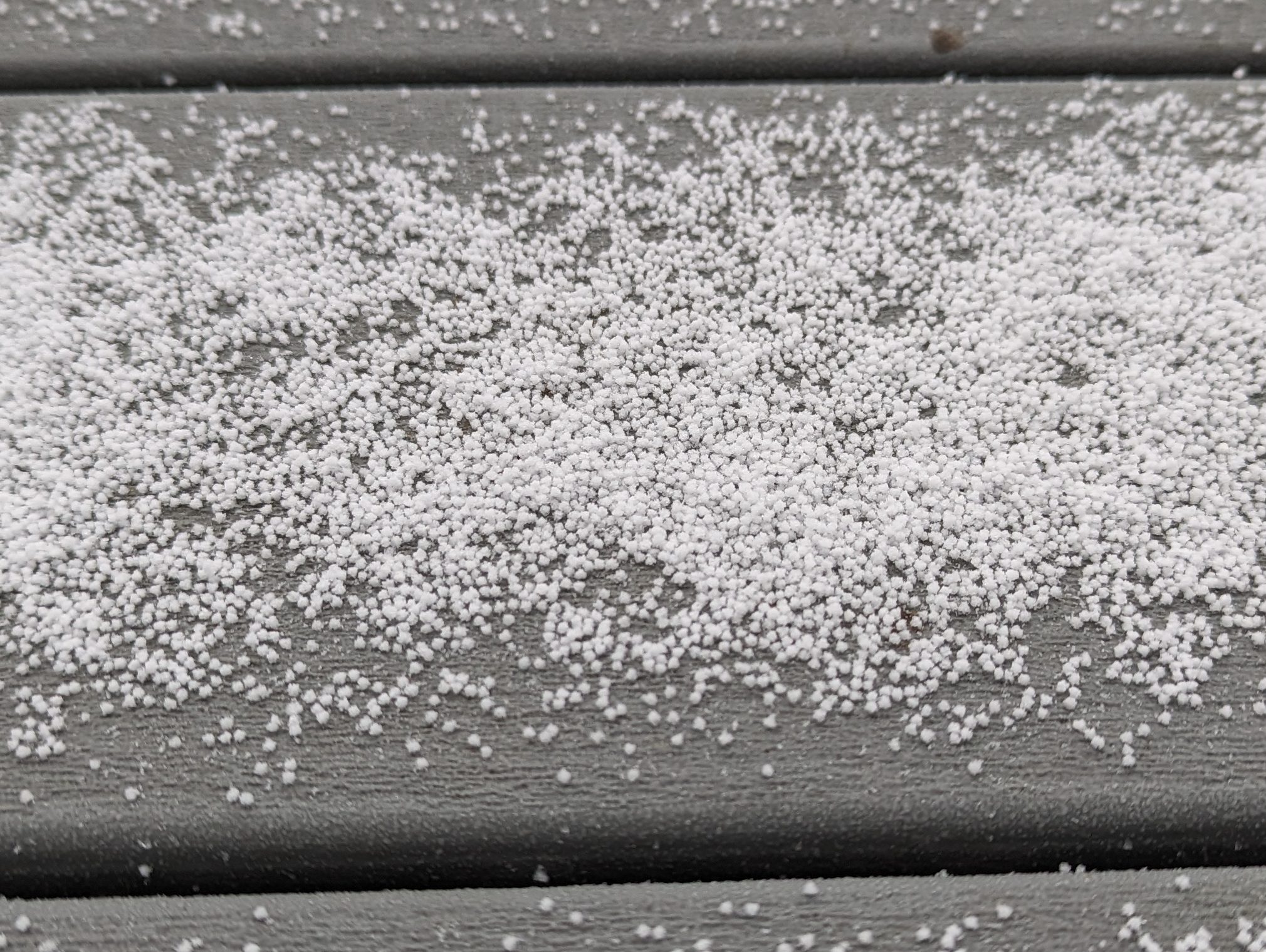 A photograph of graupel pellets.