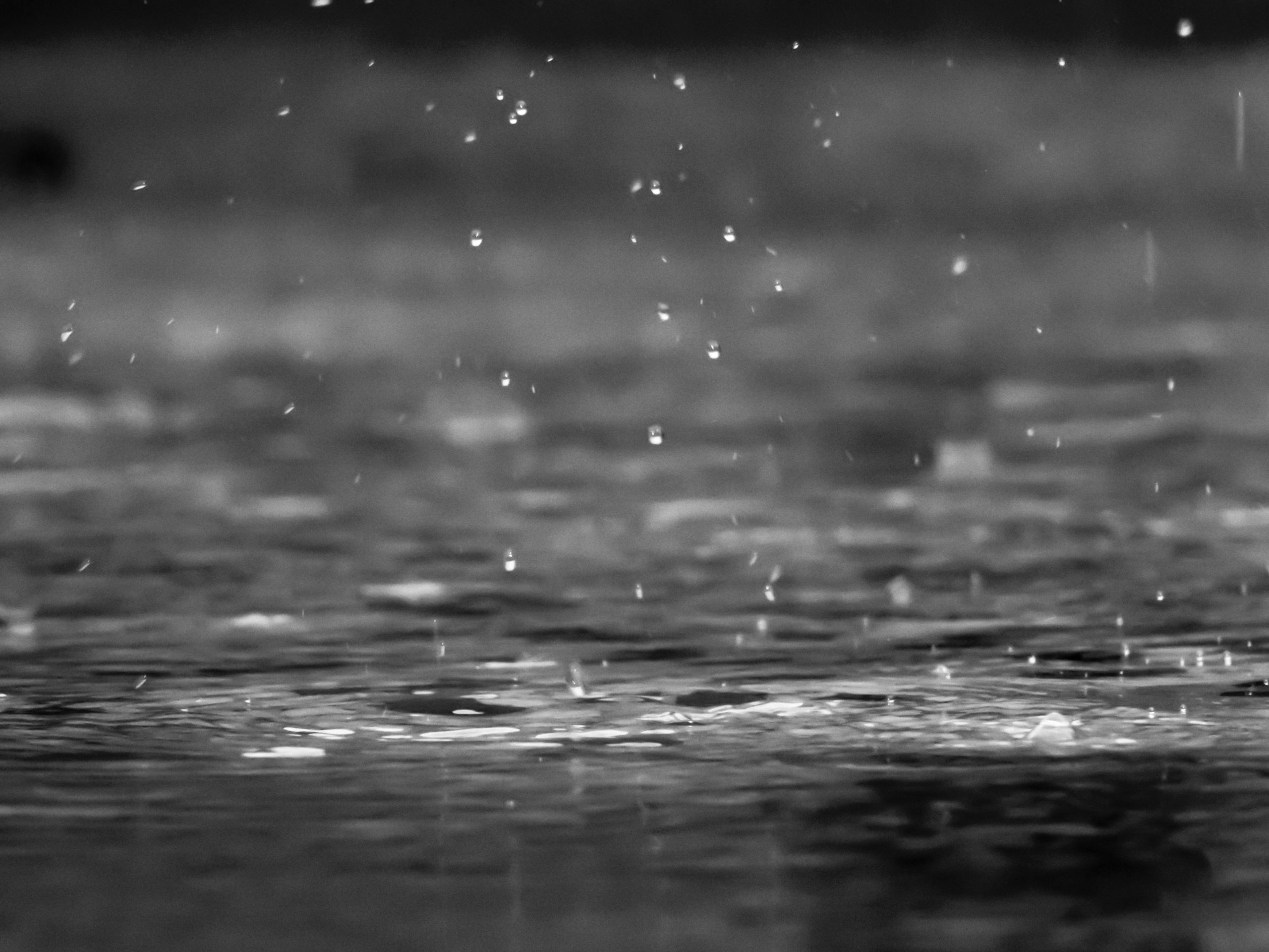 A photograph of raindrops falling into a puddle.