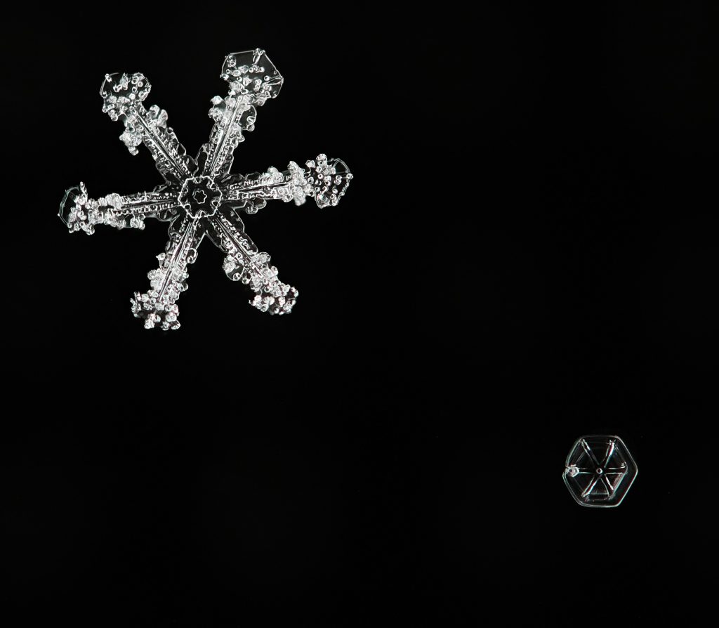 A macro photograph of two types of snowflakes.