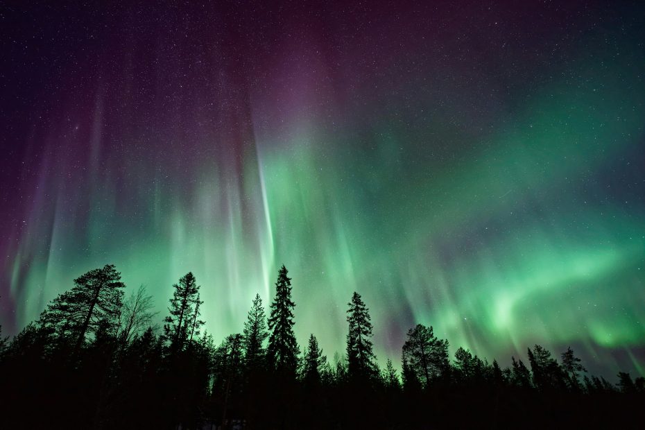 Aurora Borealis depicted at night over pine trees. Photo by Vincent Guth via Unsplash