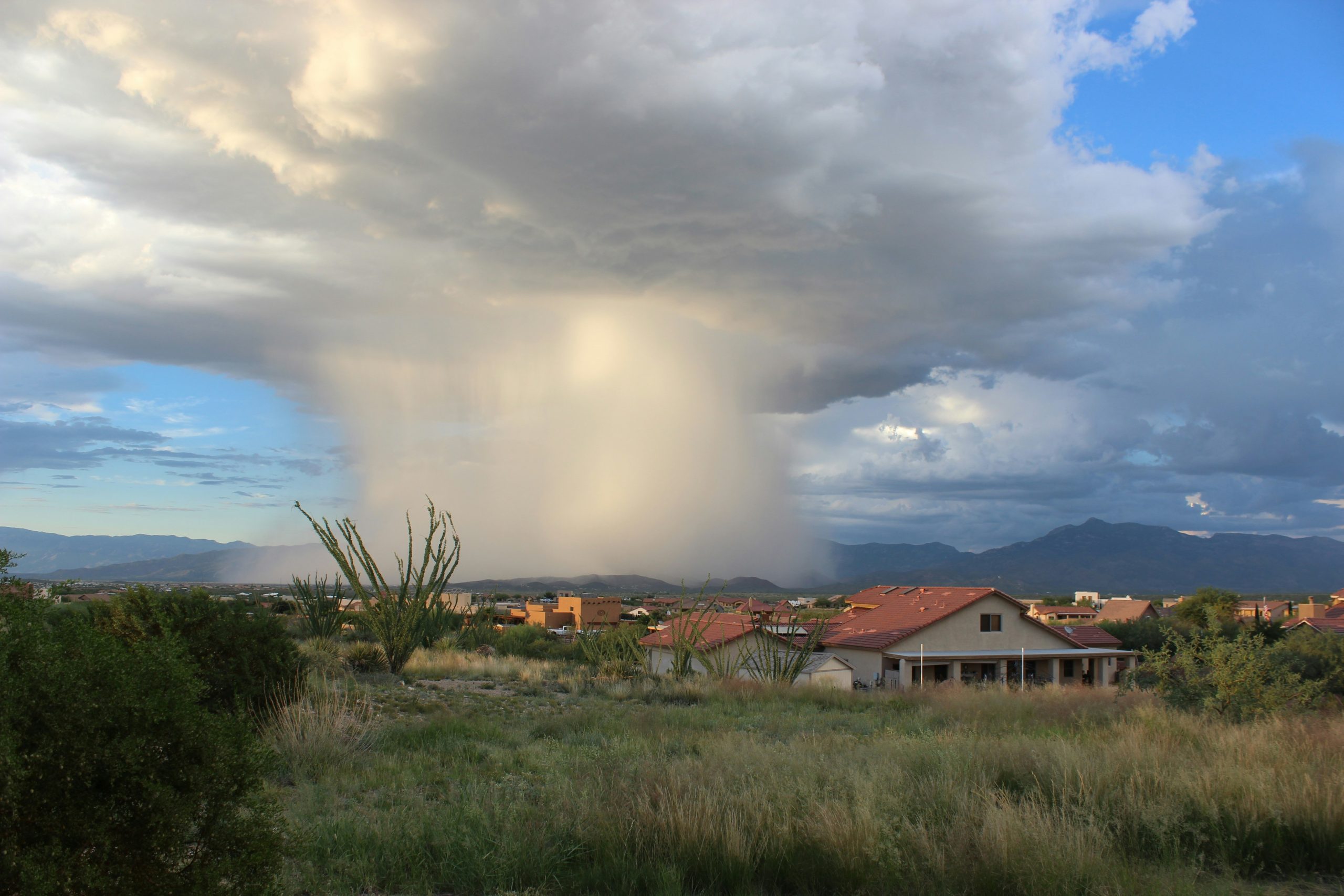 A photograph of a thunderstorm producing heavy rain over a suburban area in Arizona, US, during the summer monsoon.