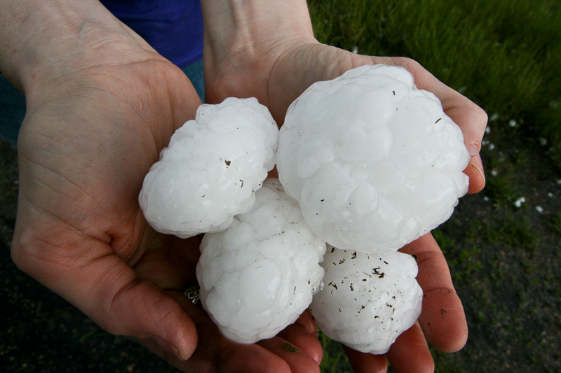 Close-up view of very large hailstones held in someone's hand - Photo by NOAA
