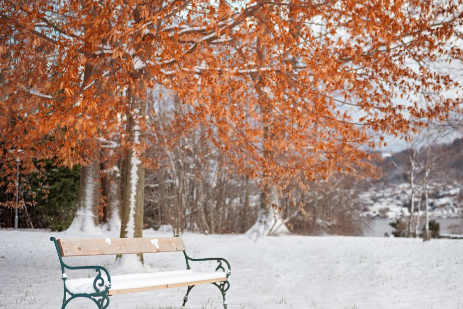 First snow on a fall day with a bench - photo by Simon Berger via Unsplash