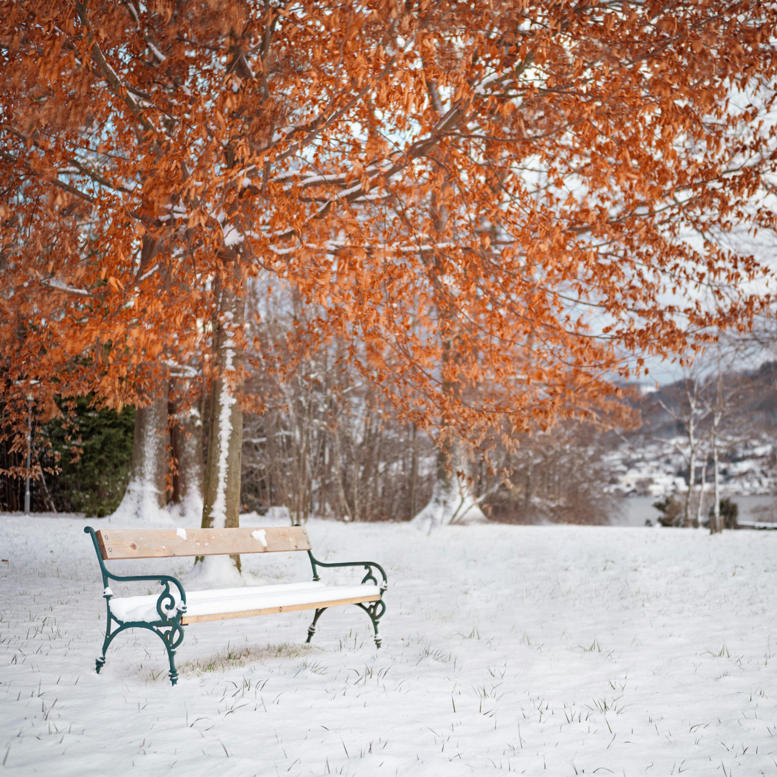 Denver Prepares for Possible First Snow of the Season