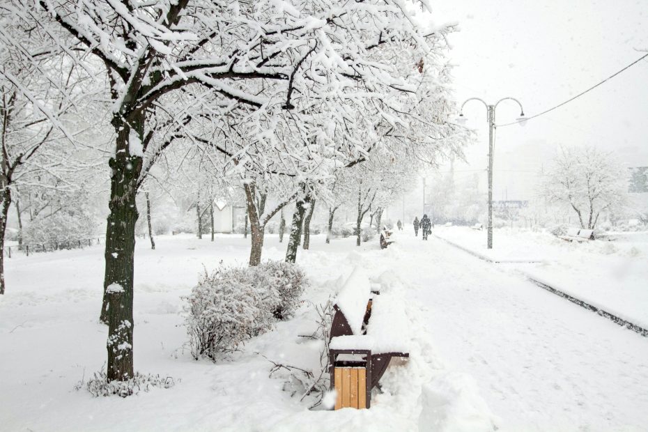 Snowstorm in a park - photo via Kostiantyn Li via Unsplash