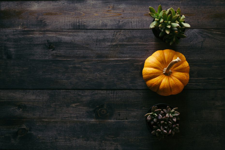 Pumpkins on a table. Photo by Patrick Fore via Unsplash