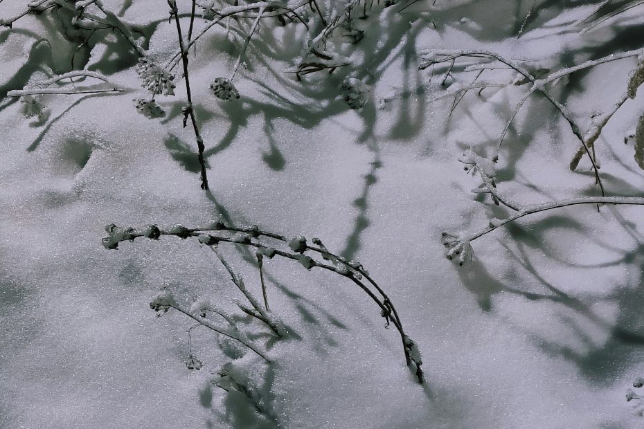 Snow on the ground- photo by Chulpan Gallyamova via Unsplash